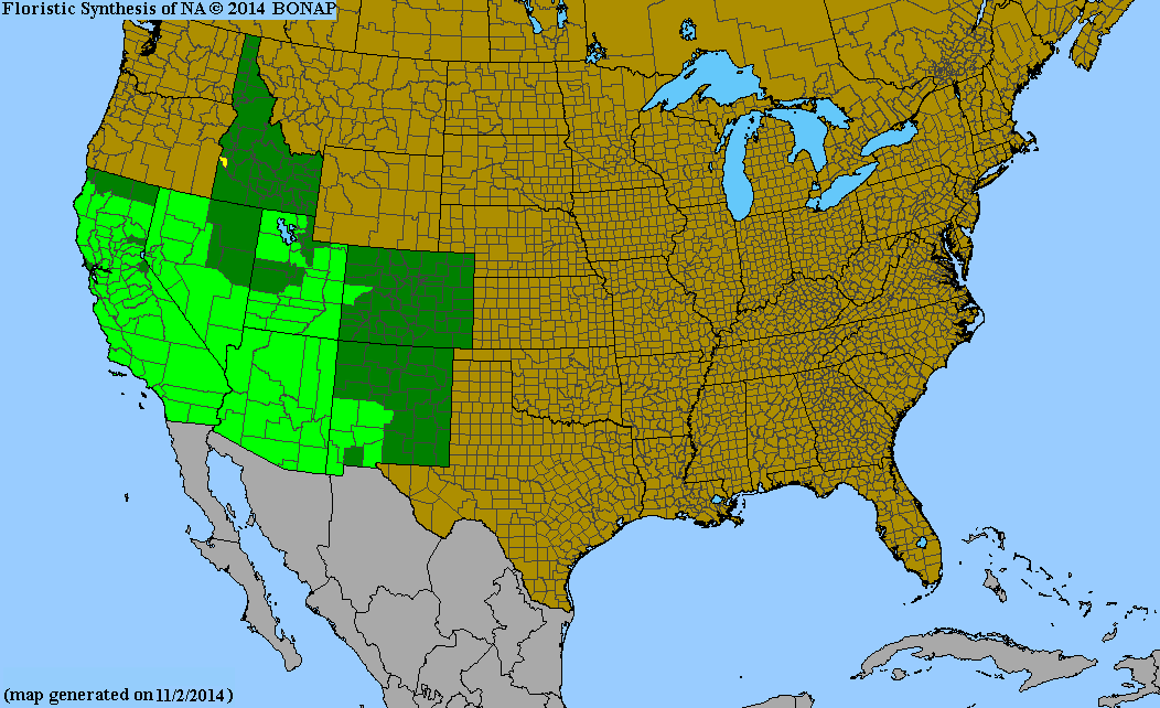 County distribution map of Populus deltoides ssp. fremontii - Eastern Cottonwood